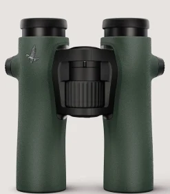 Swarovski Nl 10 X 32 In Green*Purdey Cheap